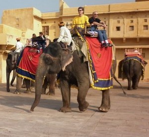 legendeelephant